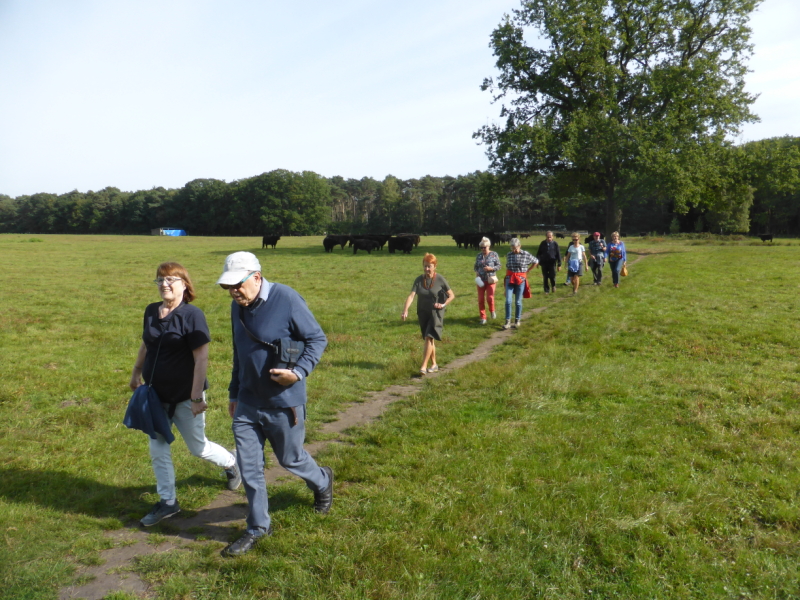 Wandeling Kiewit-Boktrijk 21 september 2021